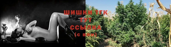 mix Белокуриха