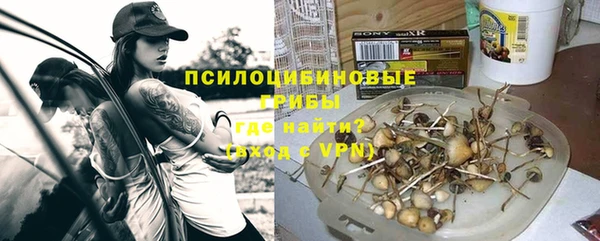 мяу мяу мука Беломорск
