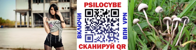 магазин продажи наркотиков  shop наркотические препараты  Галлюциногенные грибы мицелий  Борзя 